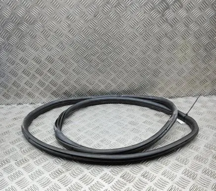 BMW 3 F30 F35 F31 Rubber seal front coupe door 7305837