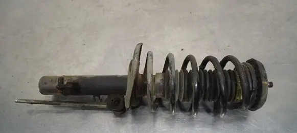 Peugeot 207 Front shock absorber with coil spring