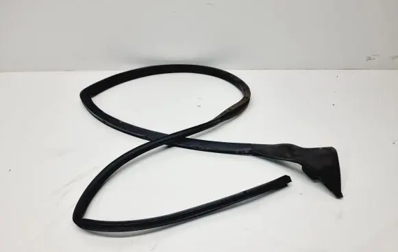 Citroen DS7 Crossback Rubber seal front door (on door) 9815699380