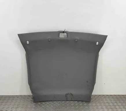 Porsche Cayman 987 Headlining 98755509104
