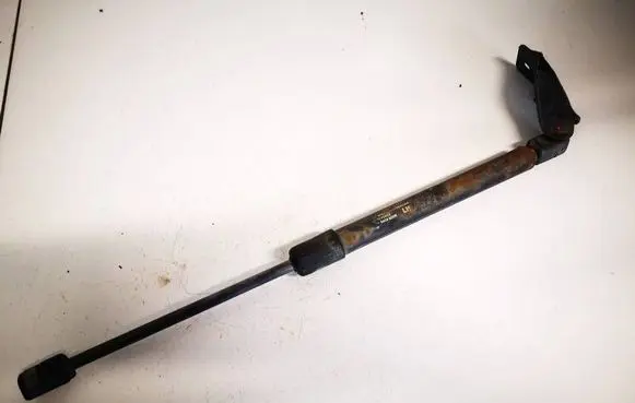 Tailgate/trunk strut/damper