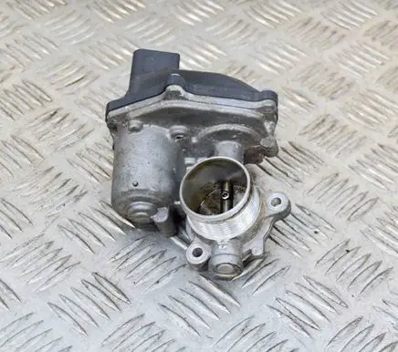 EGR valve