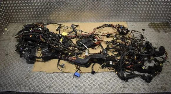 Porsche Panamera (970) Wiring harness SZYBERDACHBOSE
