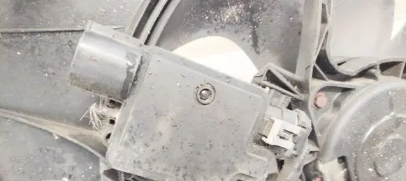 Coolant fan relay