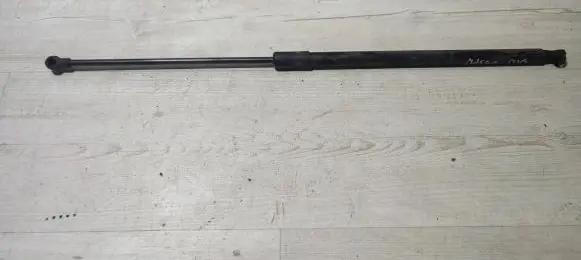 Tailgate/trunk strut/damper