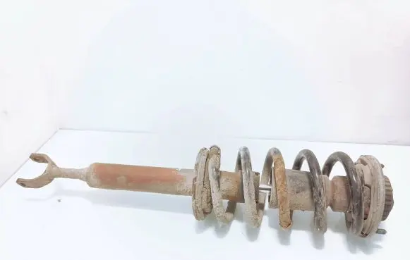 Volkswagen PASSAT B5 Front shock absorber with coil spring 3B0415031 03556 1100DPE