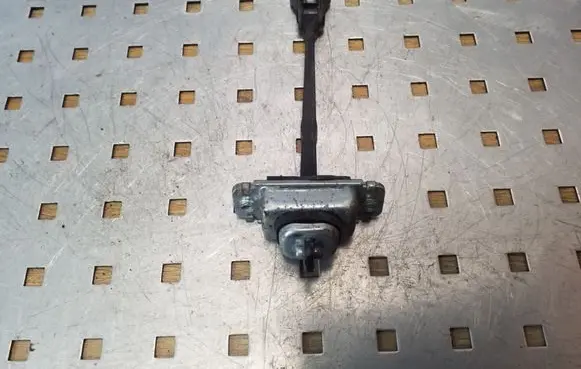 Opel Antara Rear door check strap stopper