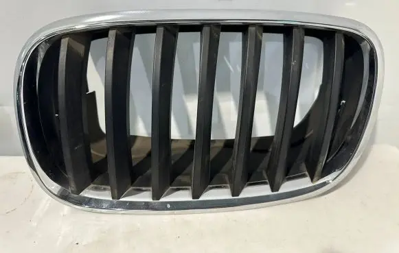 BMW X5 E70 Front bumper upper radiator grill 51317157687 7157687