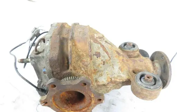 Nissan Pathfinder R51 Rear differential 3831100044