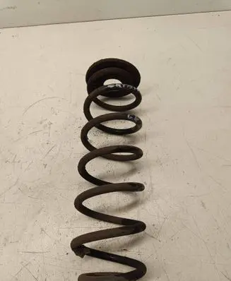 Rear coil spring