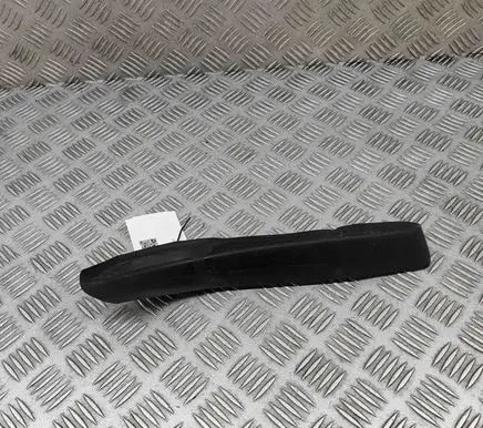 Rear/tail light trim molding
