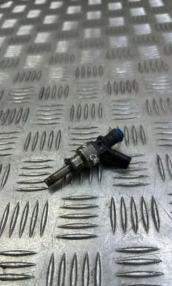 Porsche Cayenne (92A) Fuel injector 206E036K