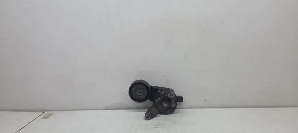 Volkswagen Touran I Generator/alternator belt tensioner 445000