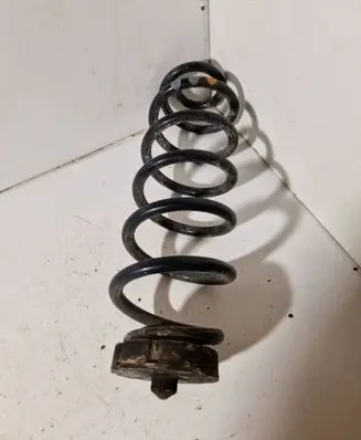 Rear coil spring