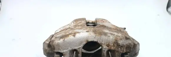 Volkswagen PASSAT B5.5 Front brake caliper