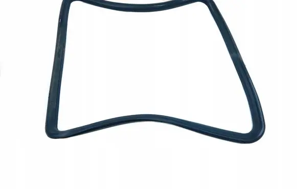 Fiat Ducato Rubber seal rear door 7591649