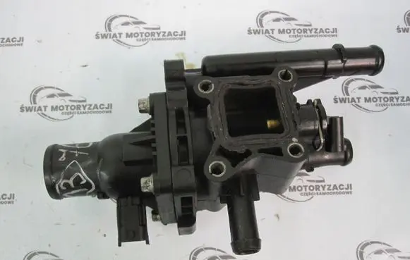 Thermostat/thermostat housing