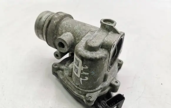 Nissan Juke I F15 Throttle valve 161A09794R 159303393