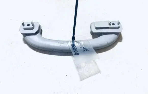 Ford Focus Rear interior roof grab handle