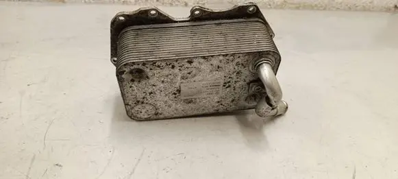 Porsche Cayenne (92A) Engine oil radiator 057117021p