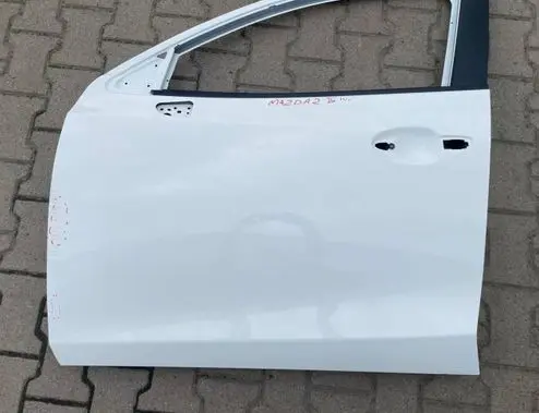 Mazda 2 Front door D09L59010