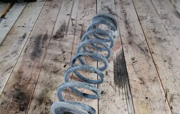 Skoda Octavia Mk3 (5E) Rear coil spring