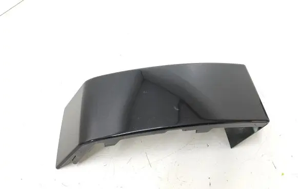 Rear/tail light trim molding
