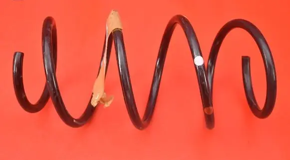 Front coil spring