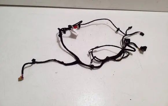 Porsche Taycan 9J1 Rear door wiring loom 9J1971120CK