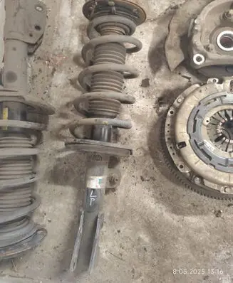 Opel Antara Front shock absorber with coil spring 22238863