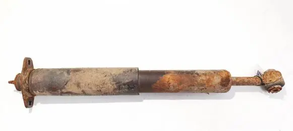 Chrysler Pacifica Rear shock absorber/damper