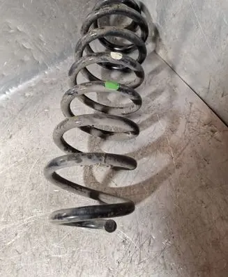 Rear coil spring