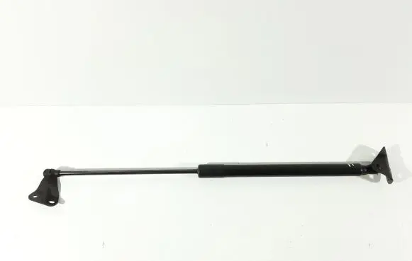 Toyota C-HR I Tailgate/trunk strut/damper 68960F4062 712497 0495N