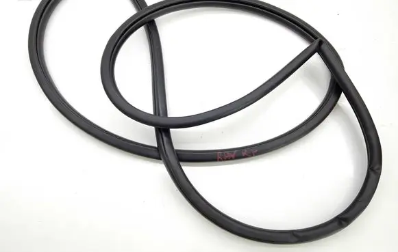 Toyota RAV 4 (XA50) Front door rubber seal
