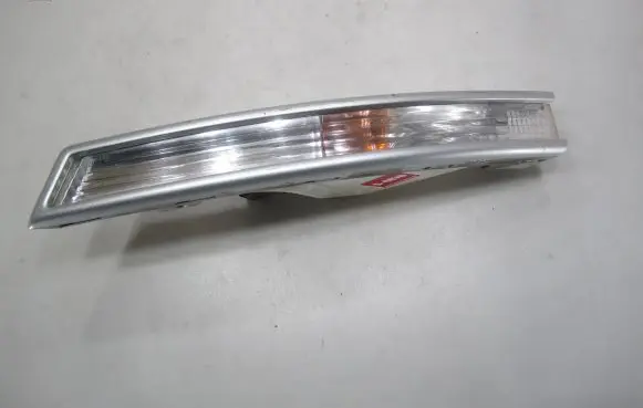 Volkswagen PASSAT B6 Front indicator light 3C0953041L