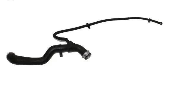 Mercedes-Benz CLK A209 C209 Engine coolant pipe/hose A2095011502