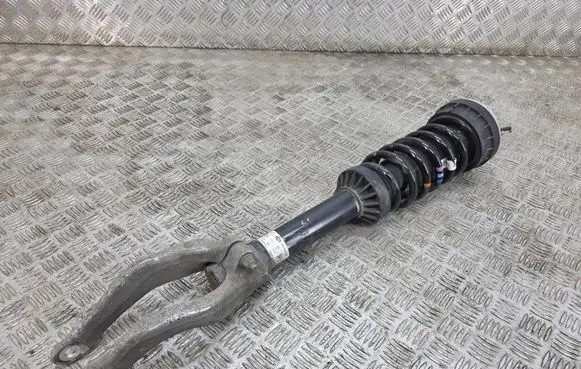 Land Rover Range Rover Velar Front shock absorber with coil spring J8A218B036