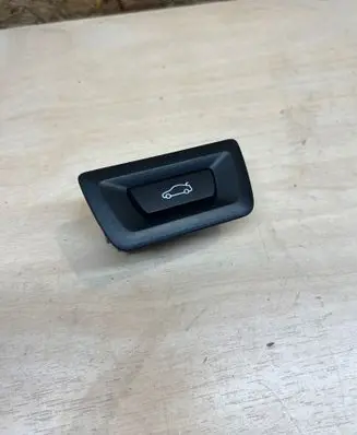 BMW iX2 (U10) Tailgate opening switch 5AIB2F9 30549693500