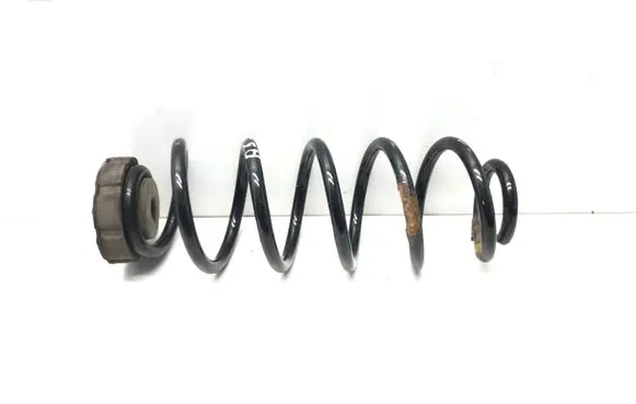 Rear coil spring