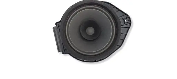 Opel Insignia A Front door speaker 545295771
