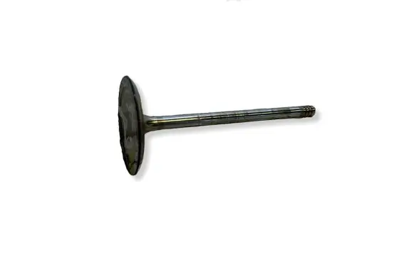 Dodge Challenger Valve 05038331AB