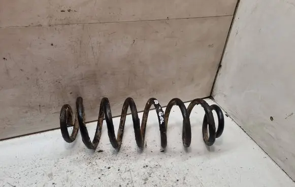 Rear coil spring