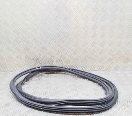 Audi RS3 Rubber seal front coupe door 8V4831721