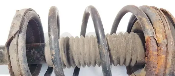 Suzuki Baleno EG Front coil spring