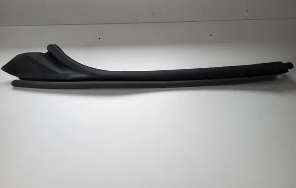 Audi A5 Front door rubber seal 