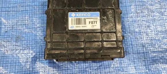Hyundai Santa Fe Gearbox control unit/module 954403A391F07T