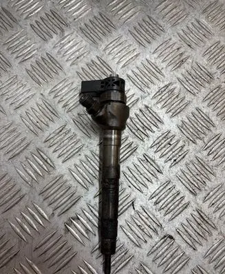Volkswagen PASSAT B7 Fuel injector 0445110369 120309 03L130277J