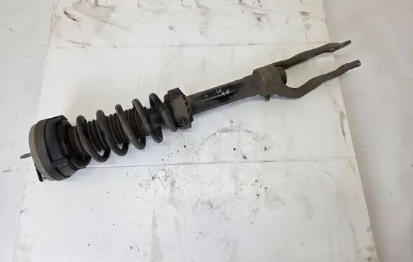 Jaguar F-Pace Front shock absorber with coil spring MK8318B036SC MK83-45-AA