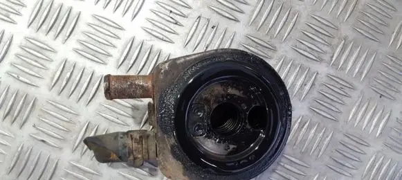 Peugeot 406 Engine oil radiator 