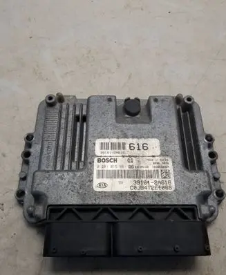 KIA Rio Engine control unit/module 391012A616 0281015461